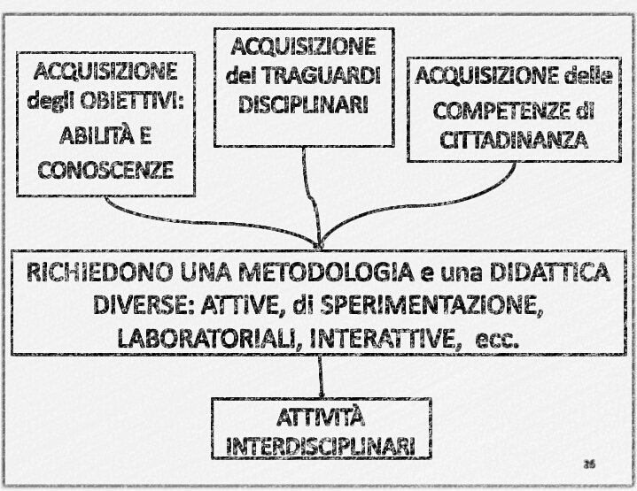 RIFLESSIONI SULLE COMPETENZE